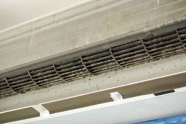 Best Residential Air Duct Cleaning  in Paonia, CO